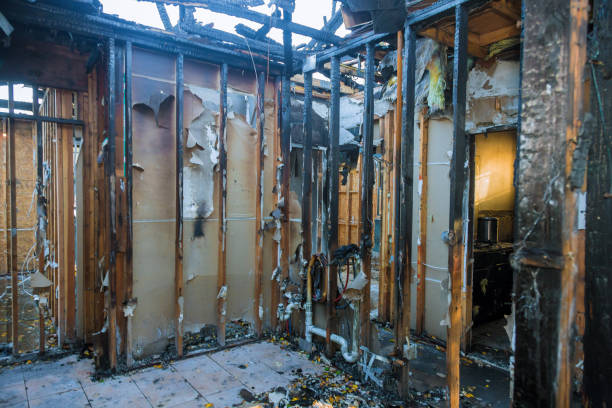 Professional Fire Damage Removal technician working in Melrose, MN